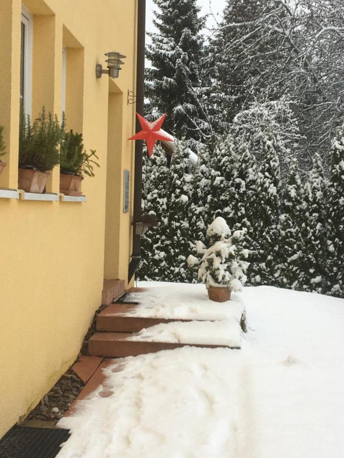 Schwarzwald Light Apartment Freudenstadt Exterior photo